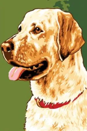 Quantità Limitata Canovaccio antico - Labrador - Luc Créations