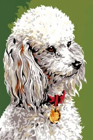 Canovaccio antico - Barboncino - Luc Créations Prezzo Conveniente