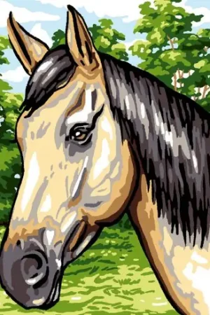 Canovaccio antico - Argentina - Luc Créations Offerta Limitata