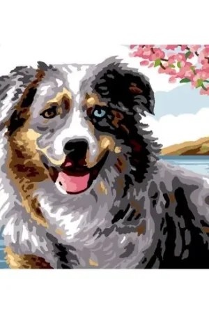 Canovaccio antico - Pastore australiano - Luc Créations Super Prezzo