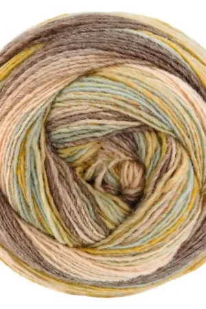 Occasione Imperdibile Lana Grossa Gomitolo Dipinto