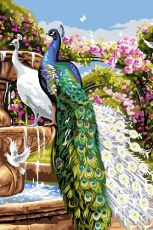 Canovaccio antico - Il giardino delle rose di pavone - Luc Créations Promozione Esclusiva