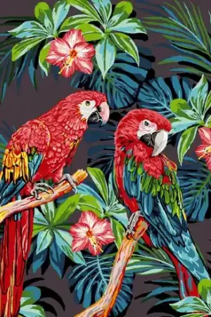 Ultima Occasione Canovaccio antico - I pappagalli - Luc Créations