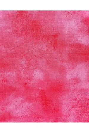 Nuovo Arrivo Wilmington Prints Q1817-39080-330