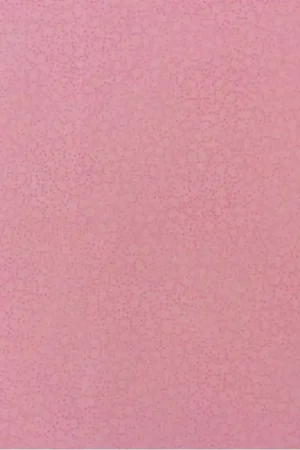 Stof 4513-500 Più Venduto