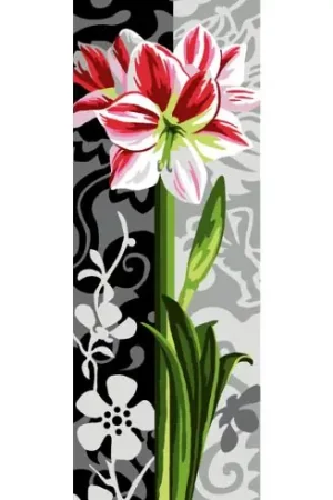 Canovaccio antico - Amaryllis - Margot de Paris Bestseller