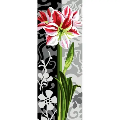 Canovaccio antico - Amaryllis - Margot de Paris Bestseller