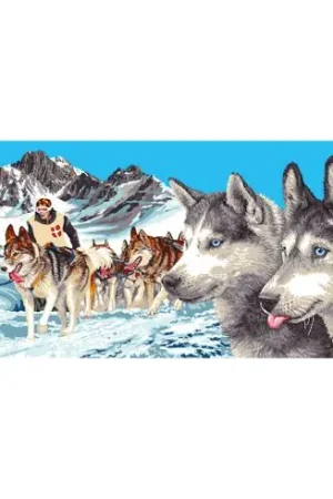 Canovaccio antico - Cani da slitta - Luc Créations Offerta