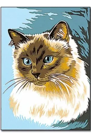 Canovaccio antico - Il siamese - Margot de Paris A Buon Prezzo