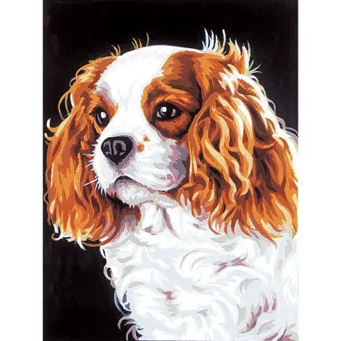 Canovaccio antico - Il cavalier king charles - Margot de Paris Direttamente Dal Produttore
