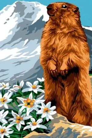 Vendita Finale Canovaccio antico - Marmotta - Margot de Paris