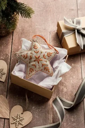 Kit da Ricamo Freestyle Decorazione Stella - Anchor Prezzo Ridotto