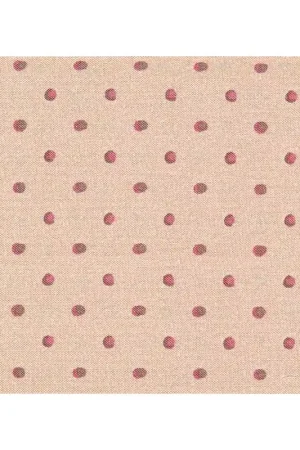 Offerta Del Giorno Lecien 31178-40