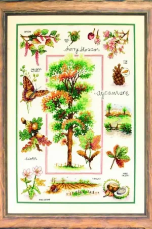 Ultima Occasione Kit Punto Croce Autumn Days - Anchor