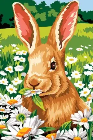 Prezzo Di Fabbrica Canovaccio antico - Gusto naturale - SEG de Paris