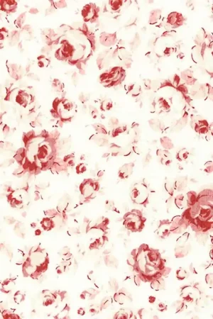 Lecien 31338-30 Economico