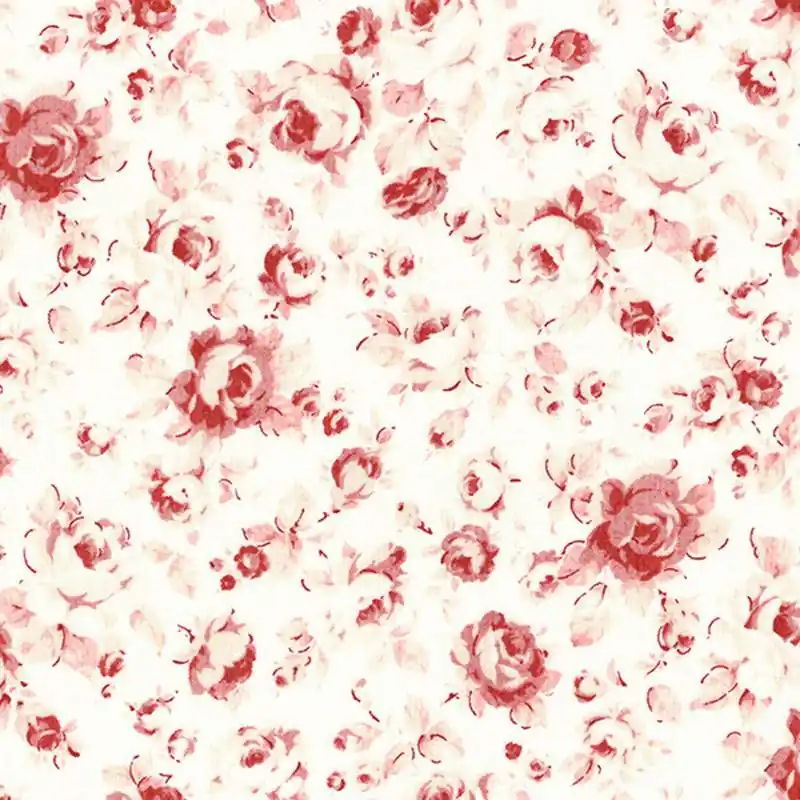 Lecien 31338-30 Economico