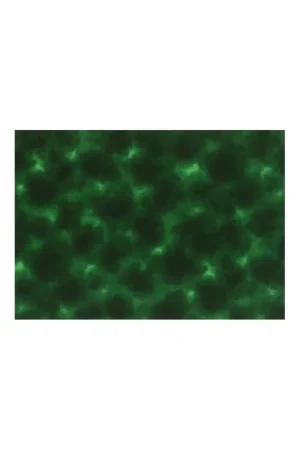 Lecien Canvas in the Sky, Tessuto Verde Cocomero Marmorizzato Esclusivo