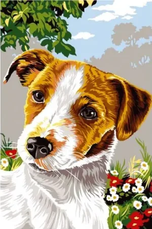 Canovaccio antico - Jack russel - SEG de Paris Economico