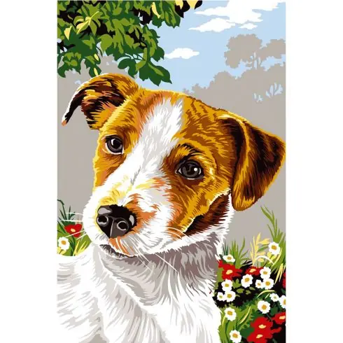 Canovaccio antico - Jack russel - SEG de Paris Economico