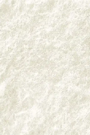 Tessuto di Pannolana Infeltrita - White Occasione Imperdibile