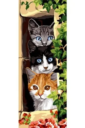 Canovaccio antico - I tre gatti - SEG de Paris Economico