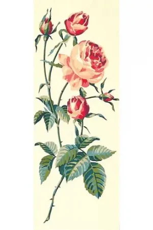 Acquista Ora Canovaccio antico - Rose - SEG de Paris