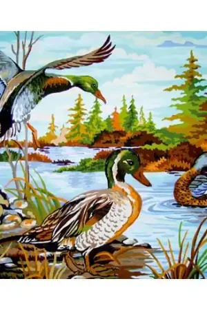 Non Perdere Canovaccio antico - Anatra selvatica - Collection d'Art