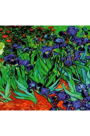 Canovaccio antico - Gli iris - Collection d'Art Spedizione Gratuita