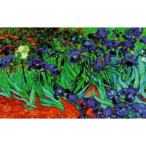 Canovaccio antico - Gli iris - Collection d'Art Spedizione Gratuita
