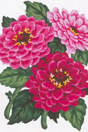 Canovaccio antico - Dalie - Collection d'Art Vendita Finale