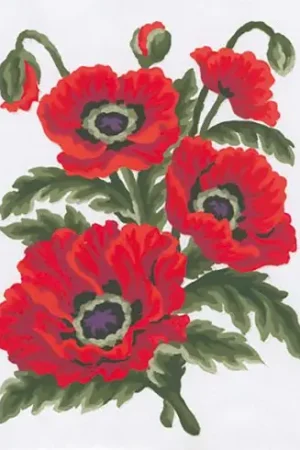 Consegna Rapida Canovaccio antico - I papaveri - Collection d'Art