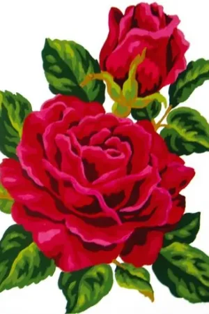 Canovaccio antico - Rosa Rosso - Collection d'Art Nuova Collezione