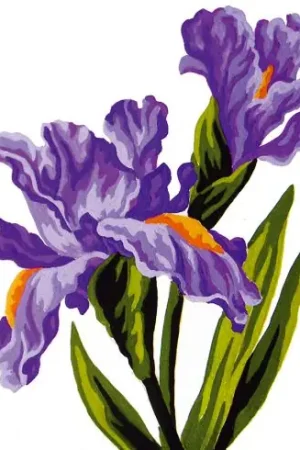 Canovaccio antico - Iris - Collection d'Art Prezzo Di Fabbrica