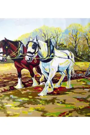 Offerta Del Giorno Canovaccio antico - Aratura - Collection d'Art