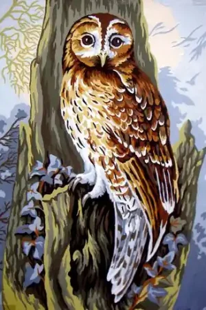 Promozione Esclusiva Canovaccio antico - La civetta - Collection d'Art