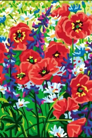 Canovaccio antico - Papavero campestre - Collection d'Art Spedito Oggi