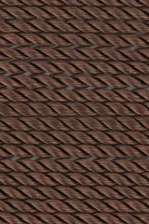 Fil Nylon Power 0.9 mm - Brun x2m Spedito Oggi