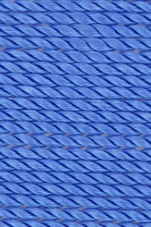 Esclusivo Fil Nylon Power 0.9 mm - Bleu x2m