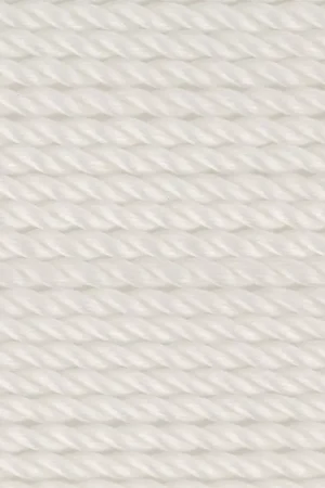 Economico Fil Nylon Power 0.9 mm - Blanc x2m