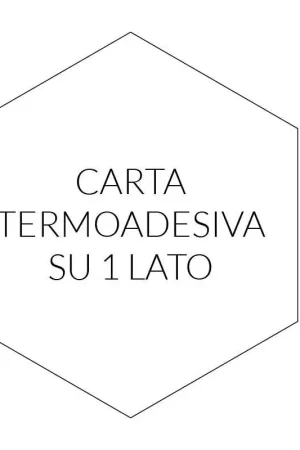 Offerta Speciale 100 Esagoni pretagliati da 1.5 cm o 5/8'' di Fliselina Termoadesiva