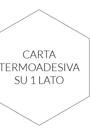 Non Perdere 100 Esagoni pretagliati da 2 cm o 3/4'' di Fliselina Termoadesiva