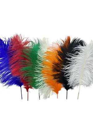 Offerta Penna Struzzo Colorate Alta 35-40 Cm