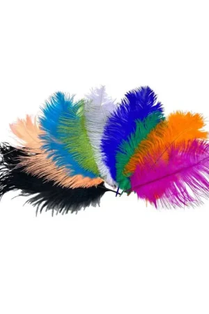 Penna Piumato Colorata Alta Cm 25/30 Prezzo Ridotto