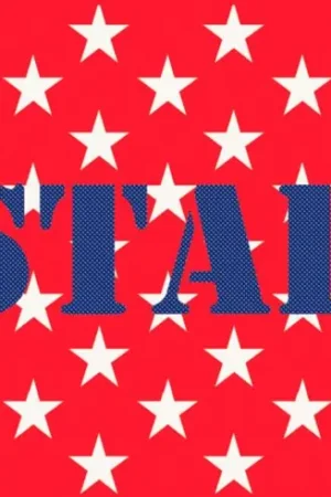 kit ricamo a punto croce - Star - Marie Coeur Offerta Speciale