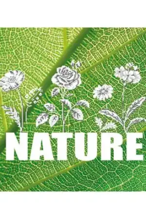 Affare kit ricamo a punto croce - Natura (fiore) - Marie Coeur