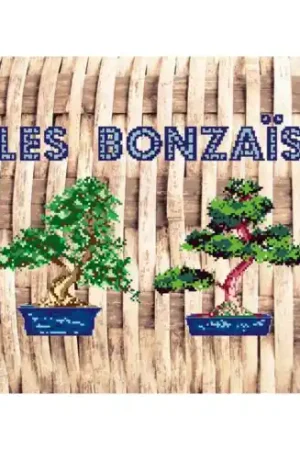 kit ricamo a punto croce - Cuscino da ricamare I bonsai - Marie Coeur Novità