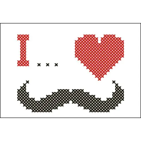 Vendita Finale kit ricamo a punto croce - Baffi - Points de repère