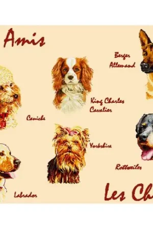 Subito Disponibile kit ricamo a punto croce - I nostri amici cani - Luc Créations