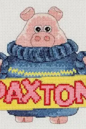 kit ricamo a punto croce - Paxton - Anchor Miglior Prezzo